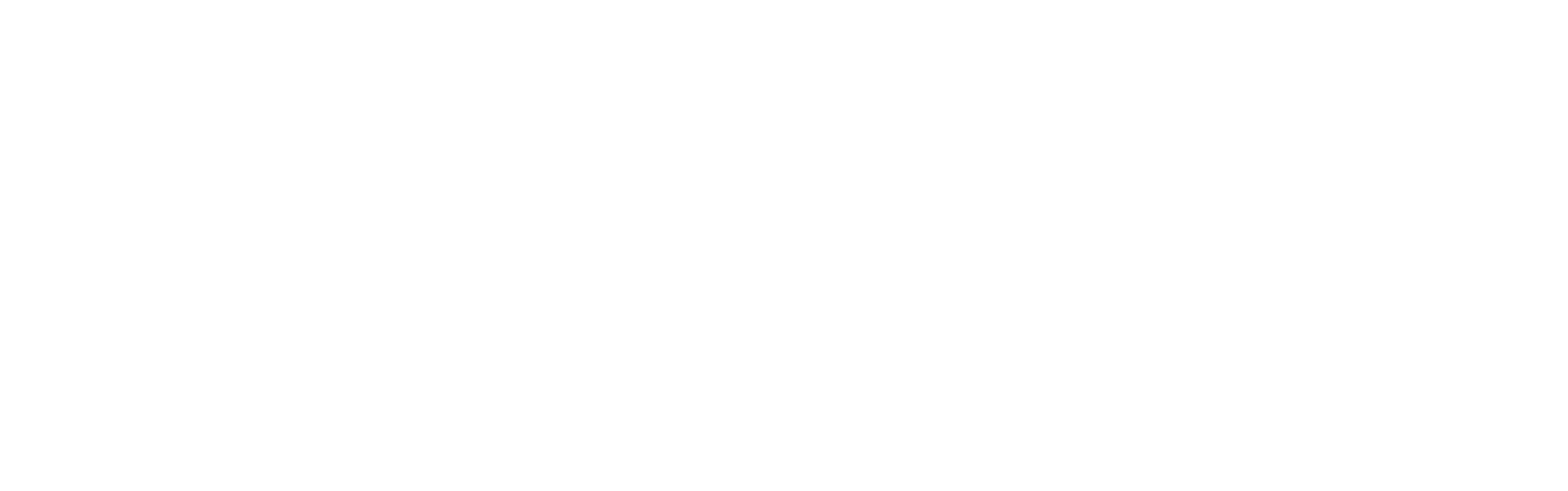 Logo RFA Conseil